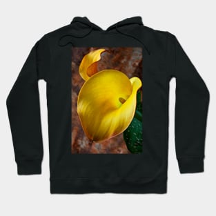 Yellow Calla Lilly Hoodie